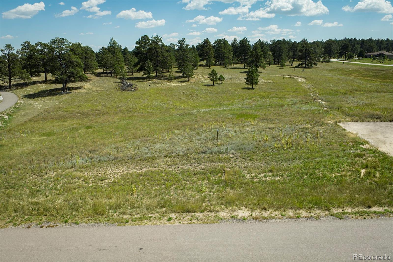 16759 Winsome Way Colorado Springs CO 80908