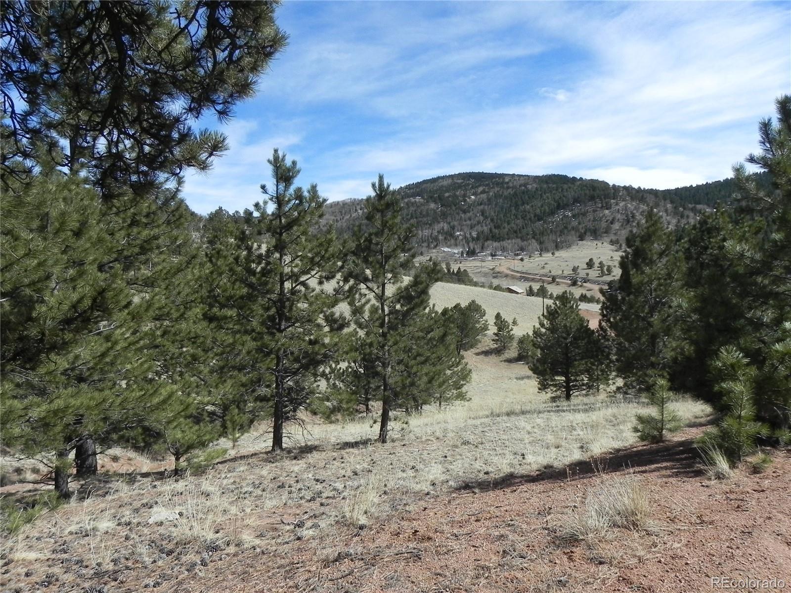 1087 Monarch Drive Cripple Creek CO 80813