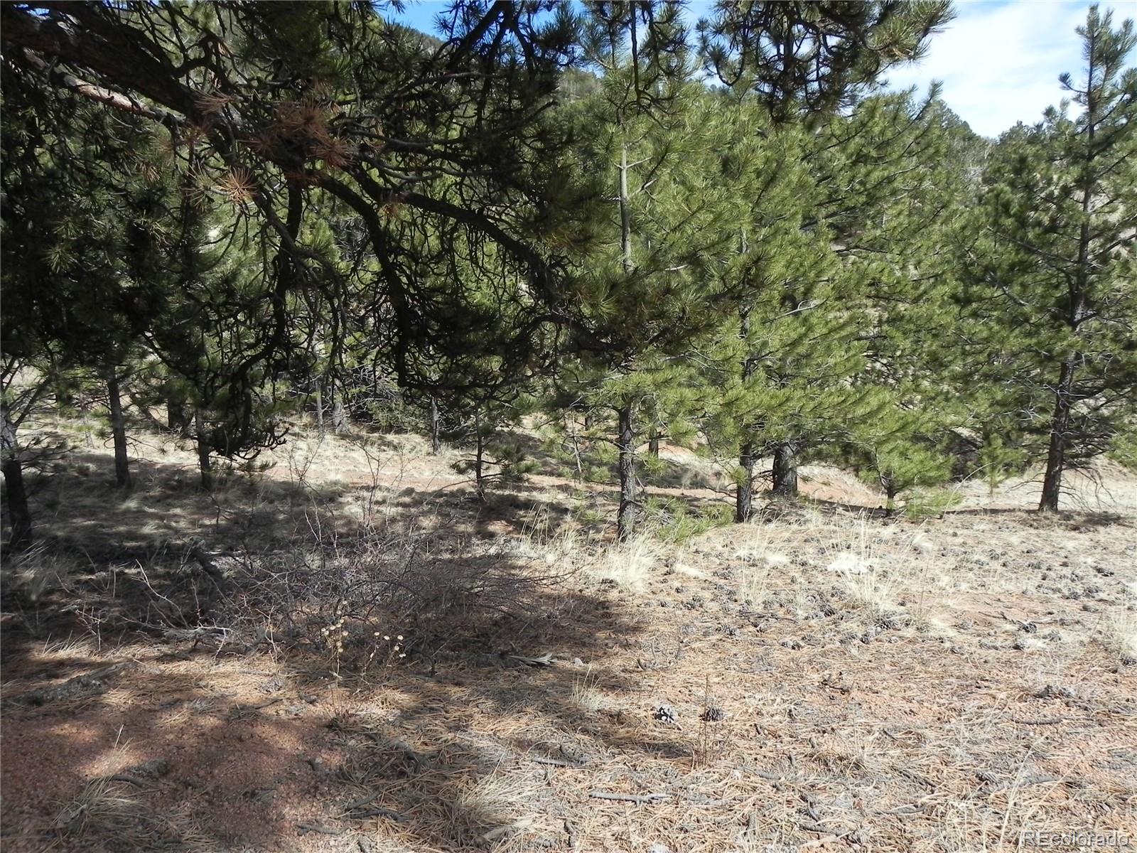 1087 Monarch Drive Cripple Creek CO 80813
