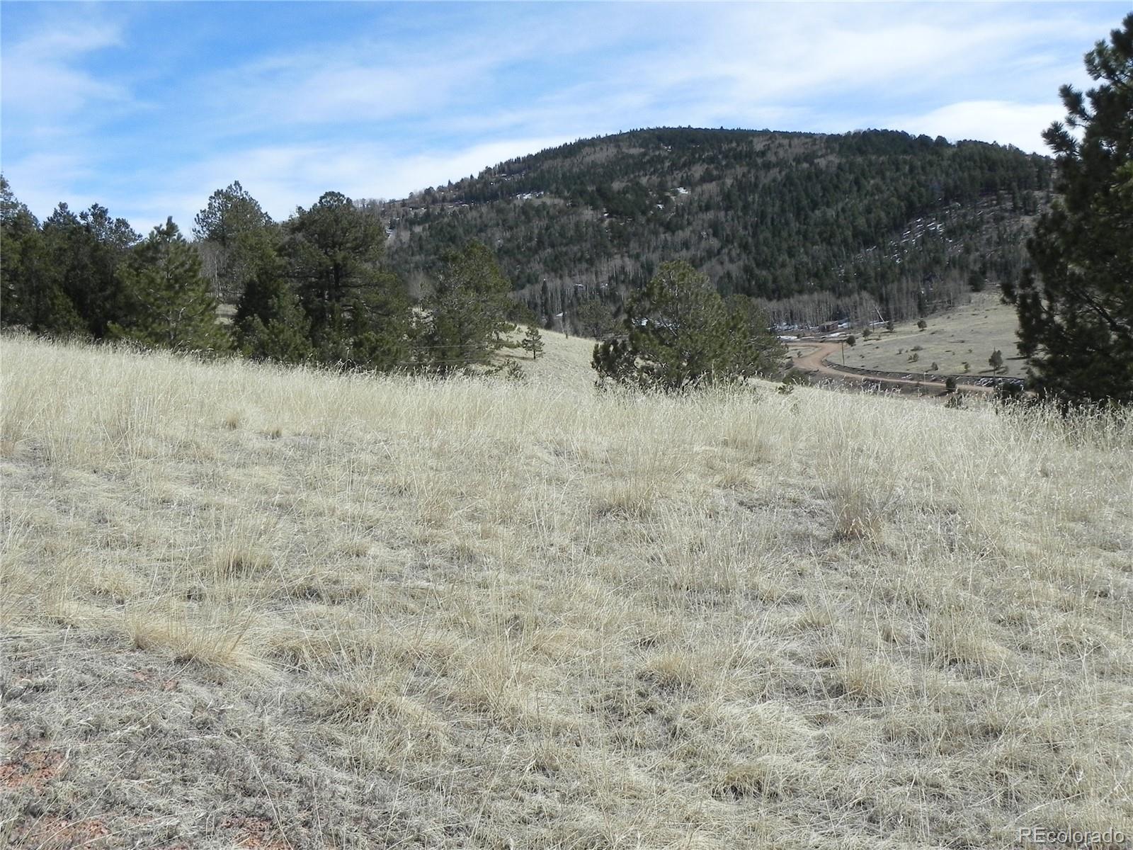 1087 Monarch Drive Cripple Creek CO 80813