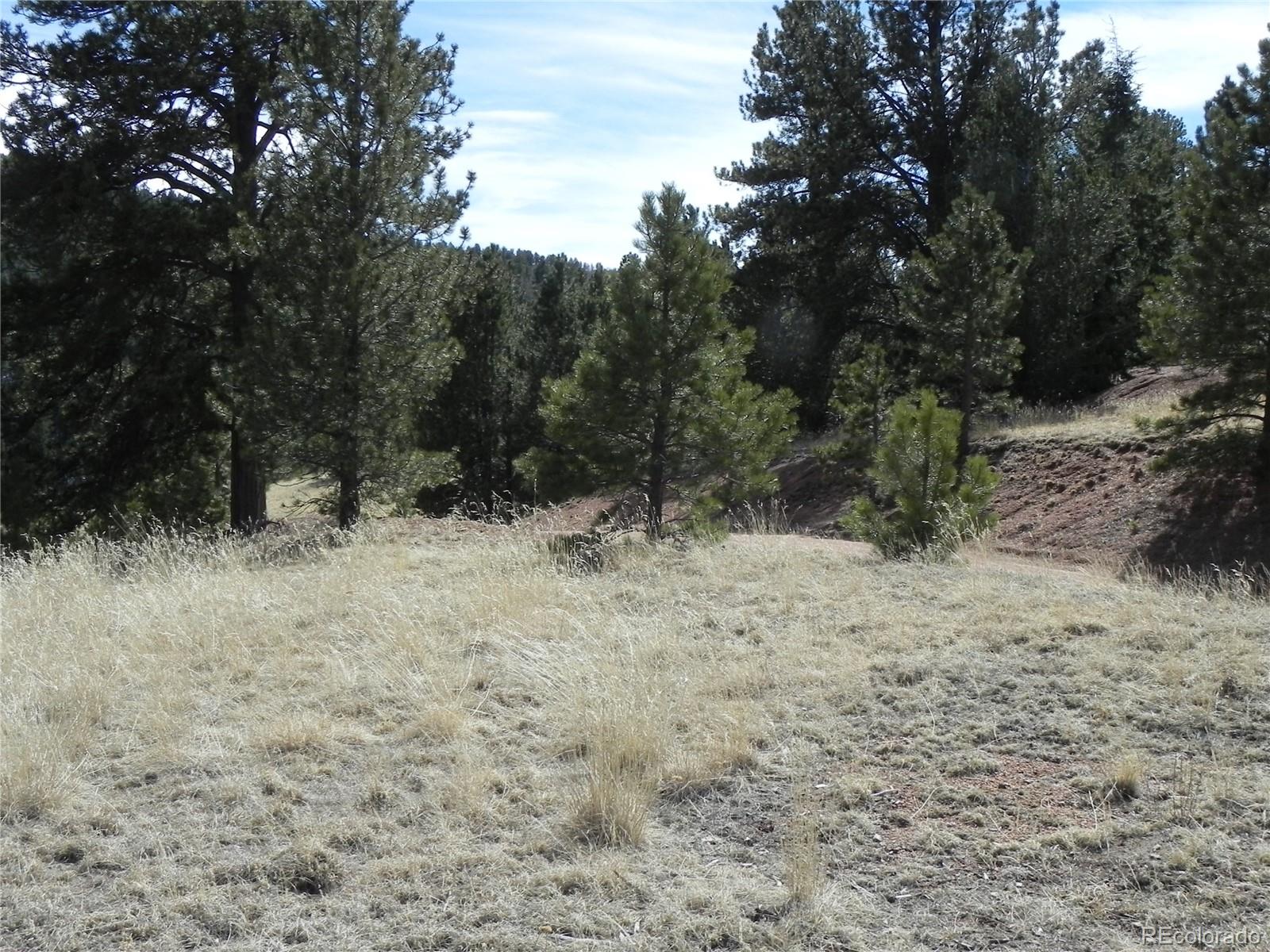 1087 Monarch Drive Cripple Creek CO 80813