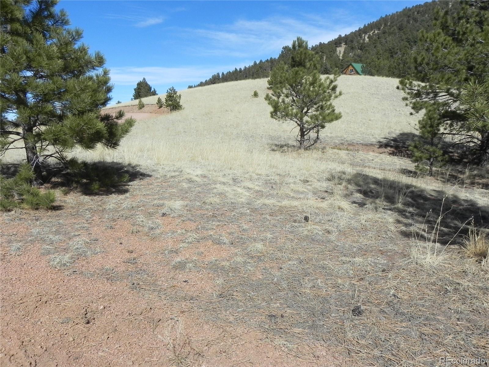 1087 Monarch Drive Cripple Creek CO 80813