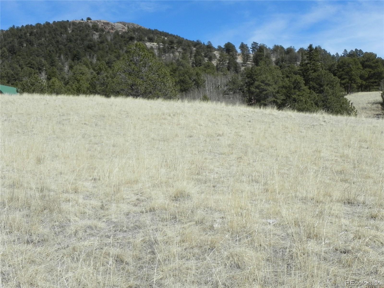 1087 Monarch Drive Cripple Creek CO 80813