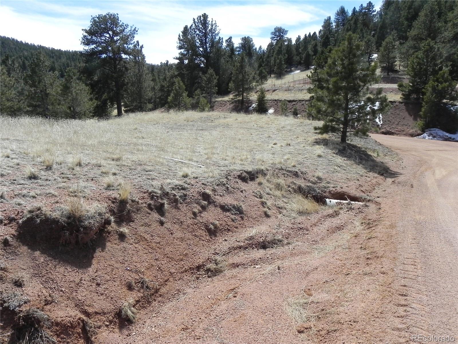 1087 Monarch Drive Cripple Creek CO 80813