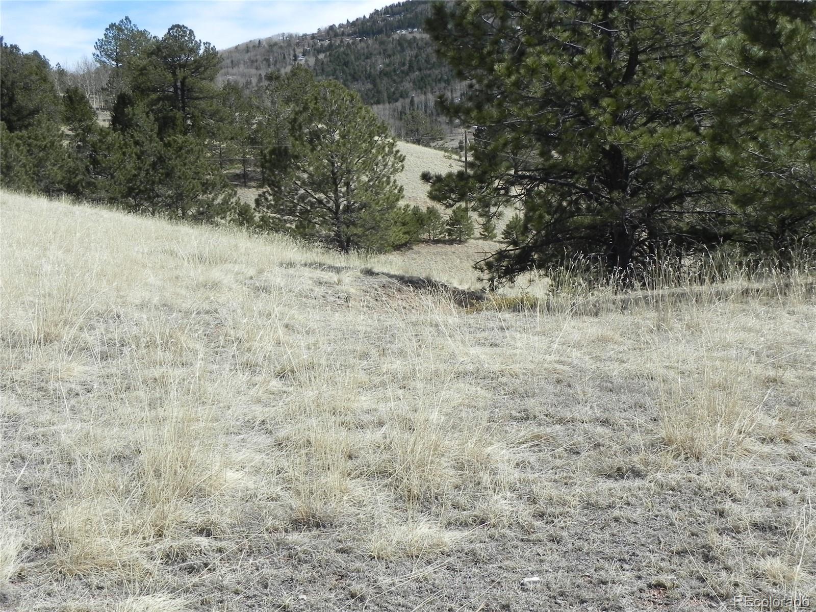 1087 Monarch Drive Cripple Creek CO 80813