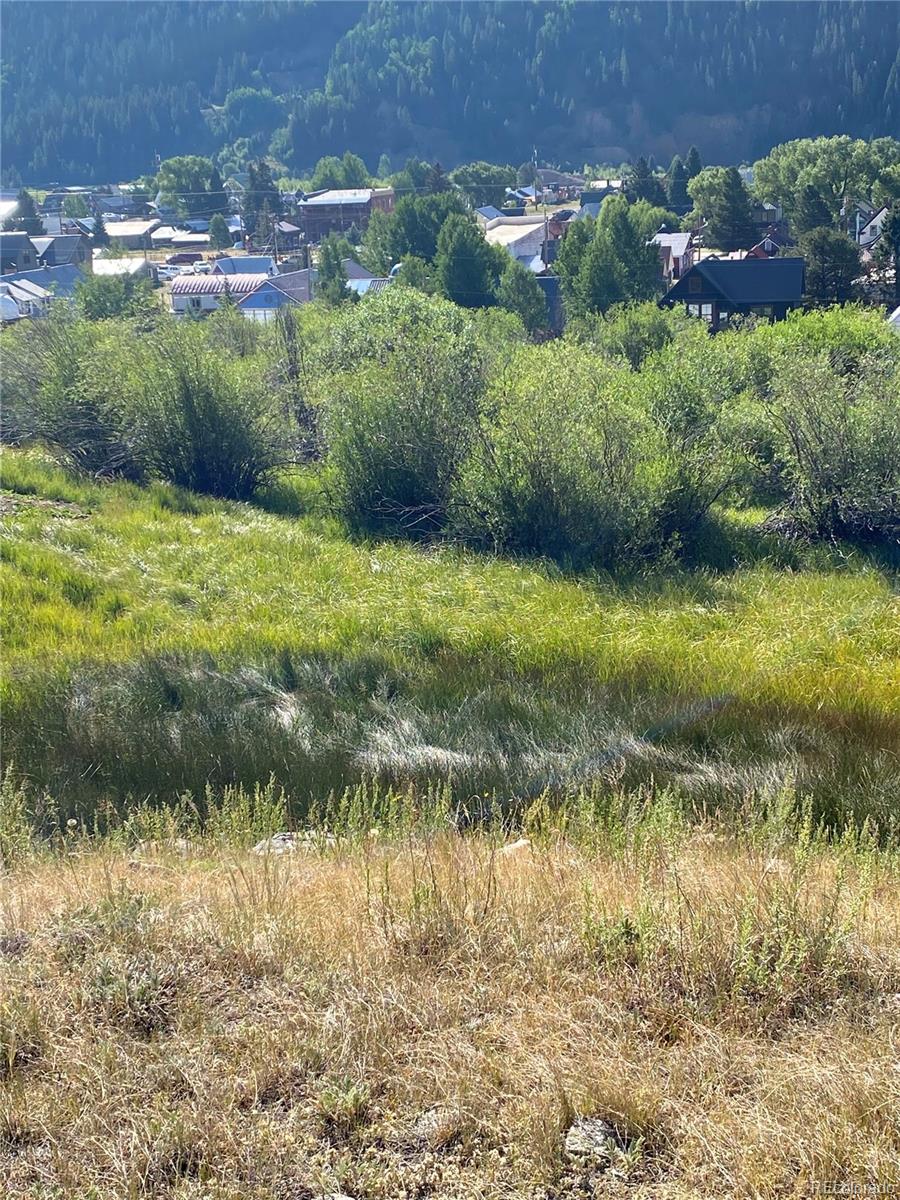 Snowden Street Silverton CO 81433