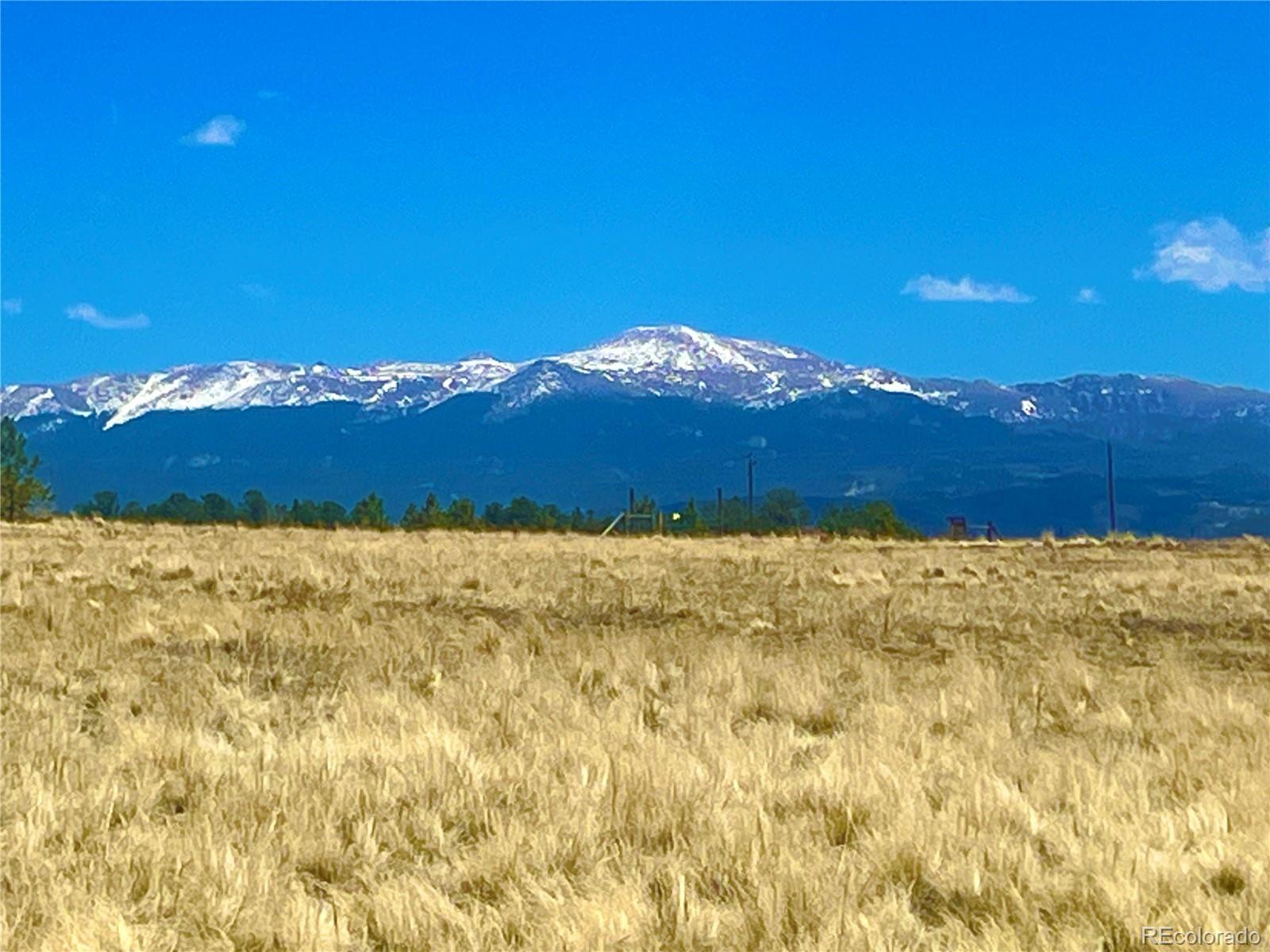 90 Meadow Lane Guffey CO 80820