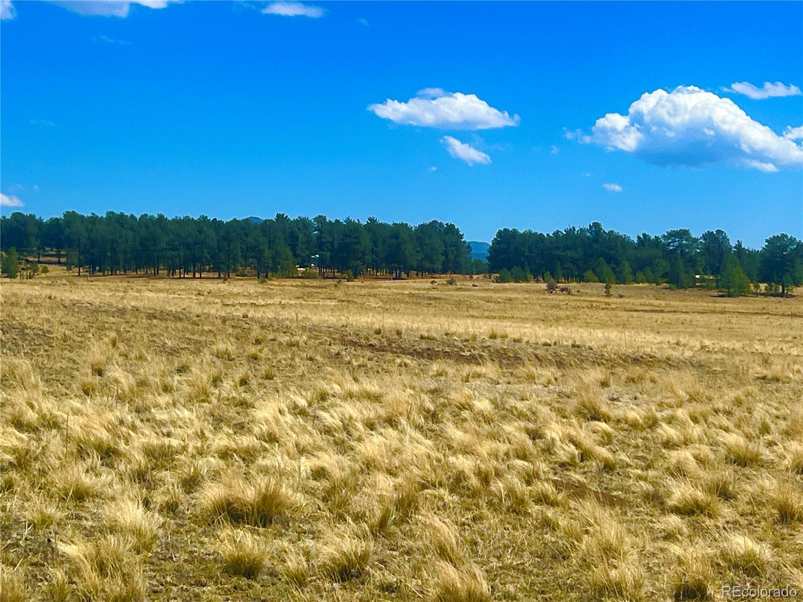 90 Meadow Lane Guffey CO 80820