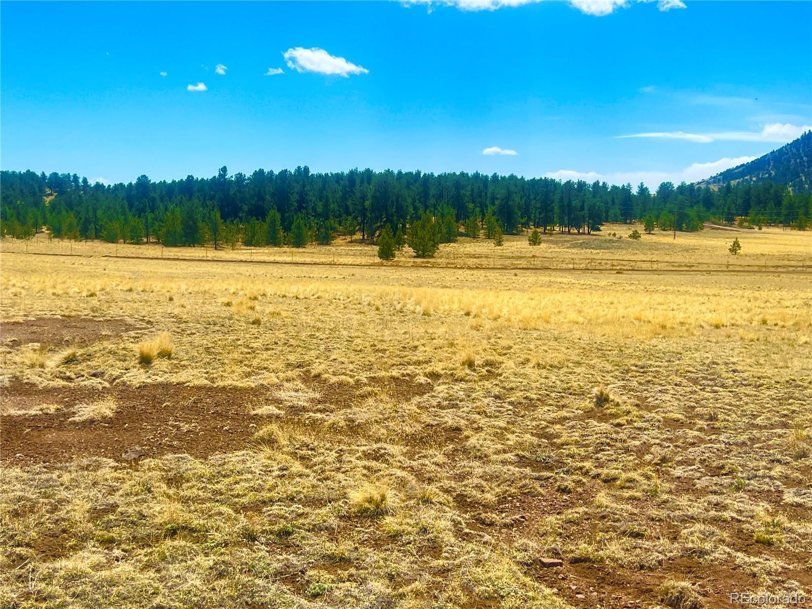 90 Meadow Lane Guffey CO 80820