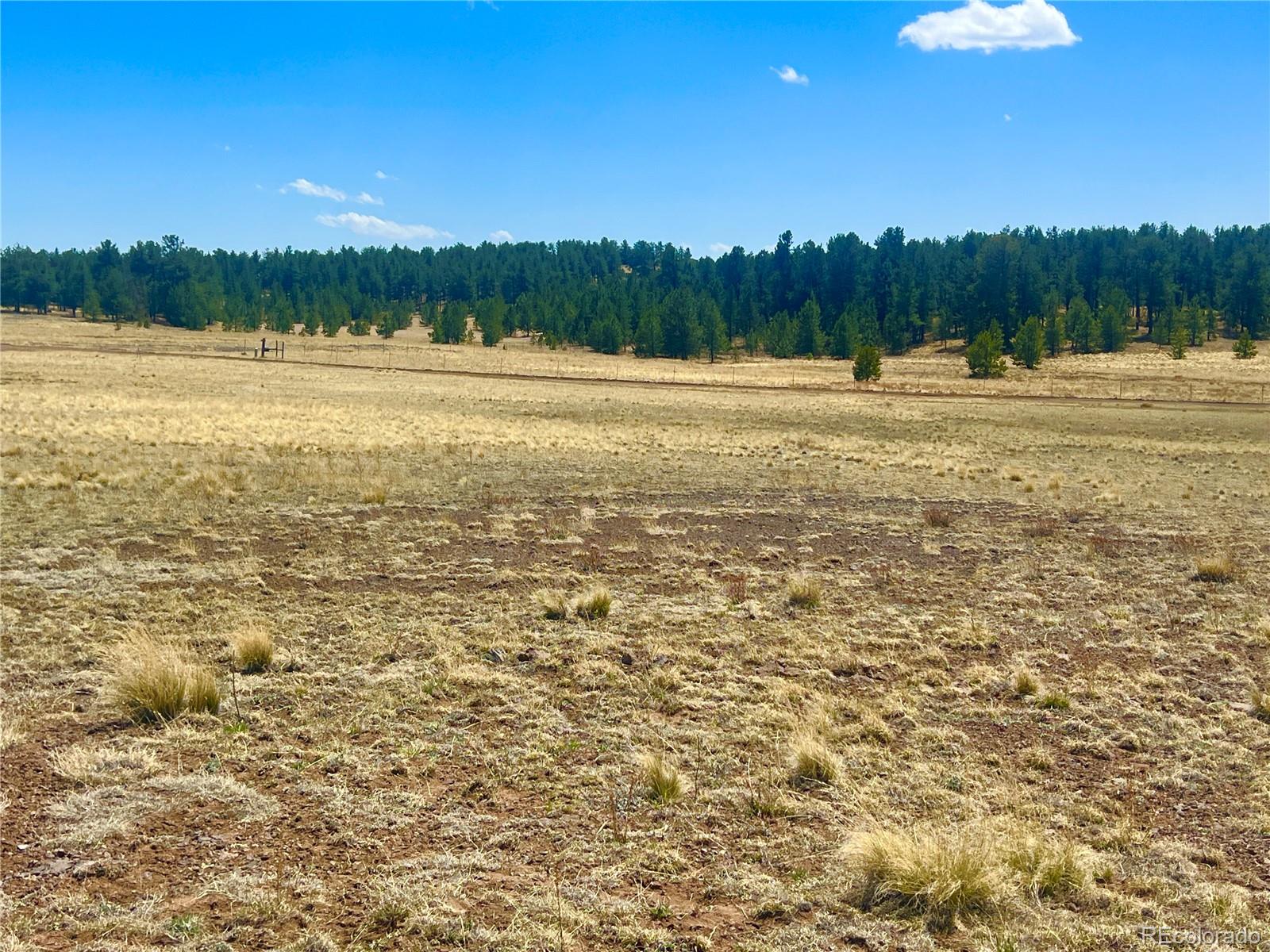 90 Meadow Lane Guffey CO 80820