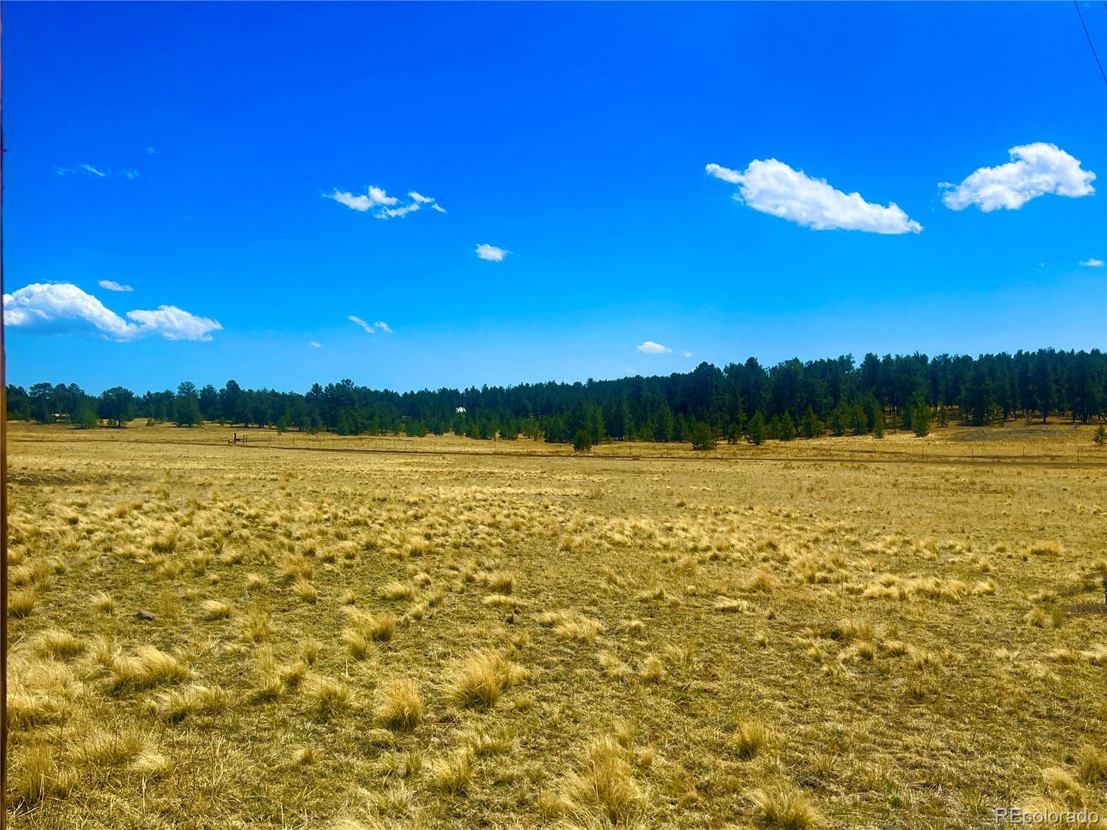 90 Meadow Lane Guffey CO 80820