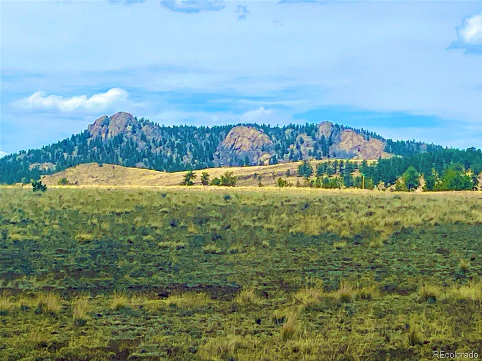 90 Meadow Lane Guffey CO 80820