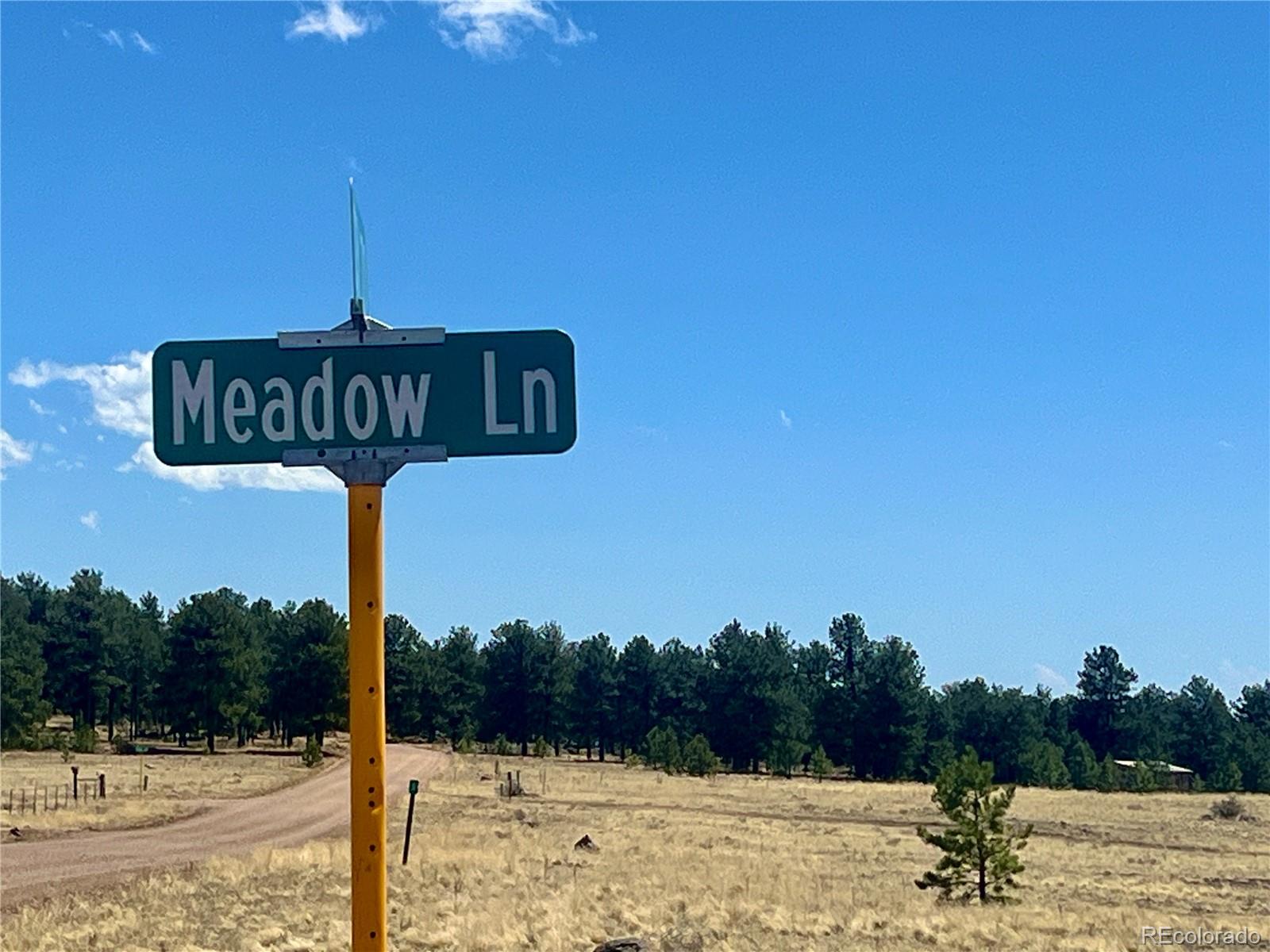 90 Meadow Lane Guffey CO 80820