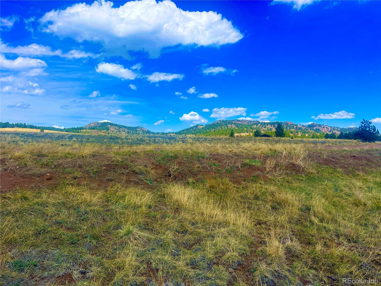 90 Meadow Lane Guffey CO 80820