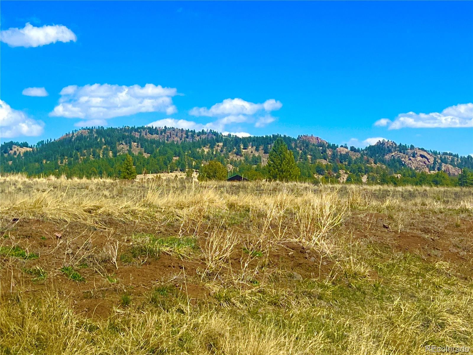 90 Meadow Lane Guffey CO 80820