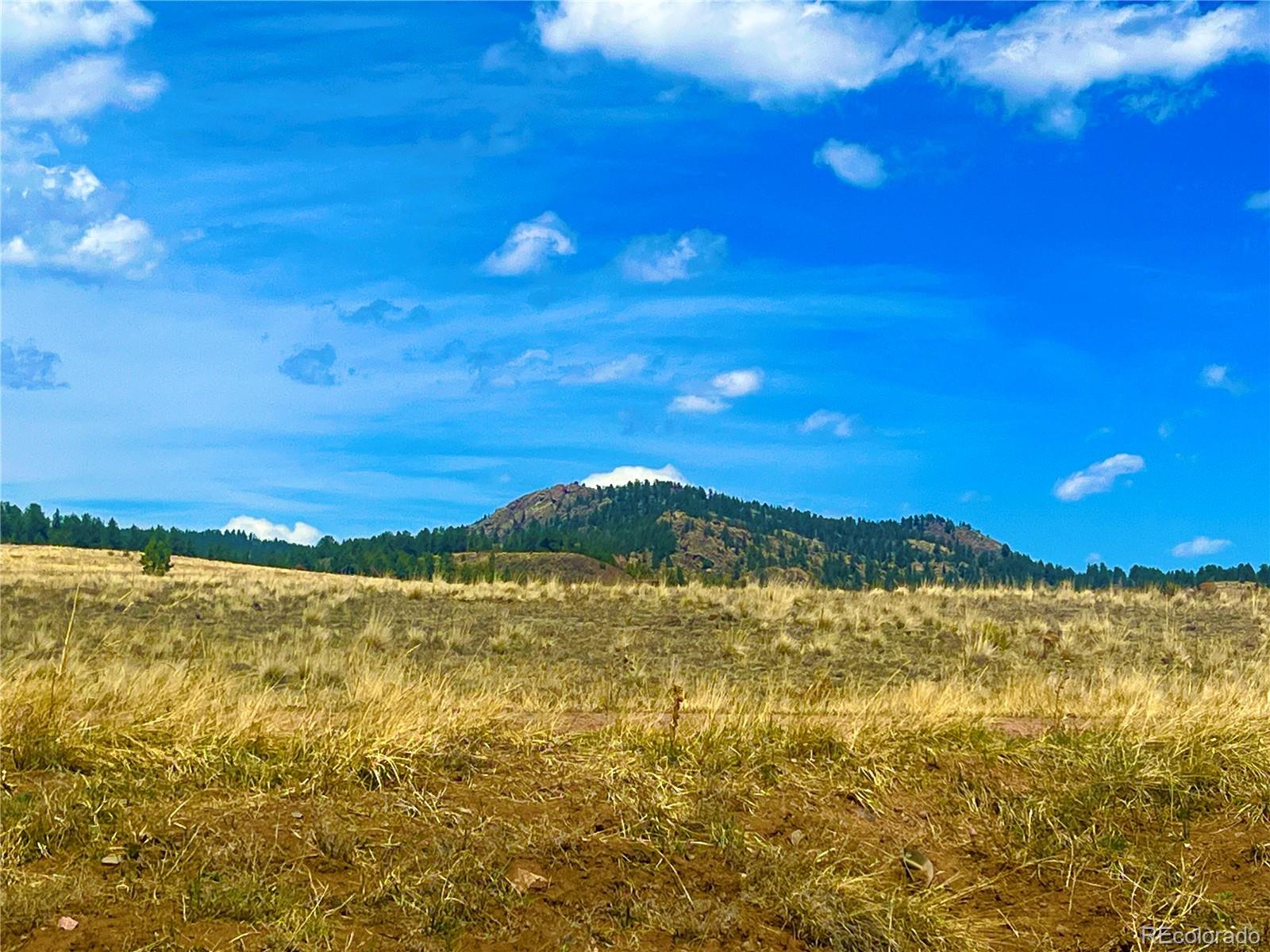90 Meadow Lane Guffey CO 80820