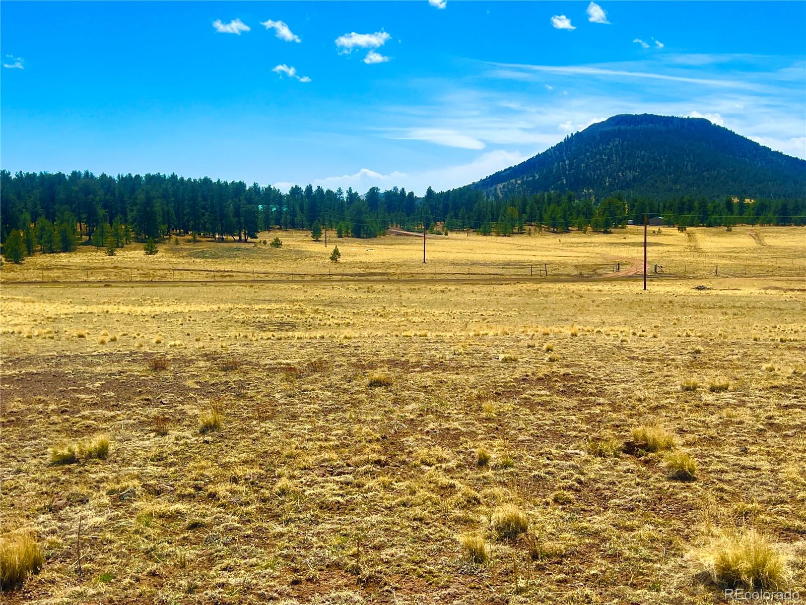 90 Meadow Lane Guffey CO 80820