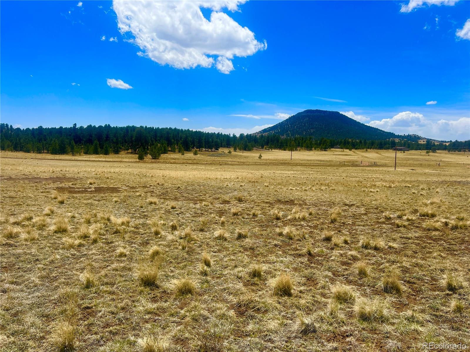 90 Meadow Lane Guffey CO 80820