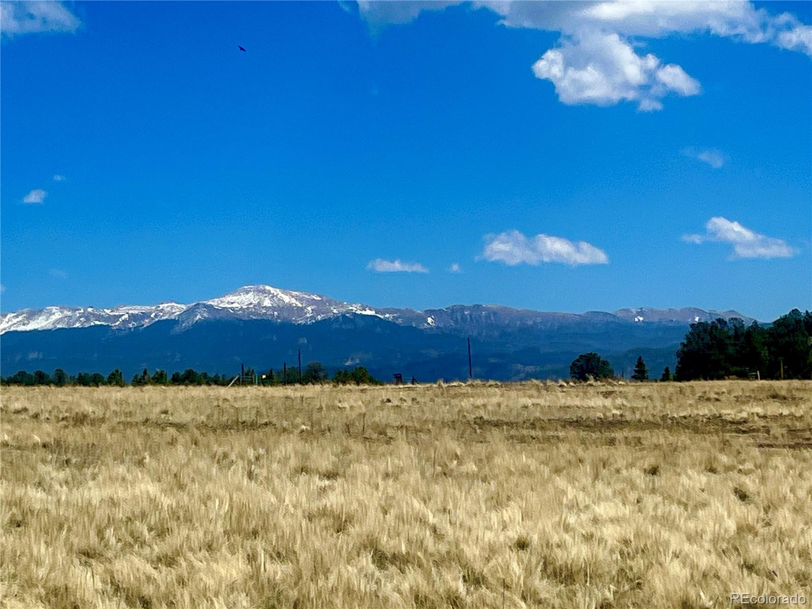 90 Meadow Lane Guffey CO 80820