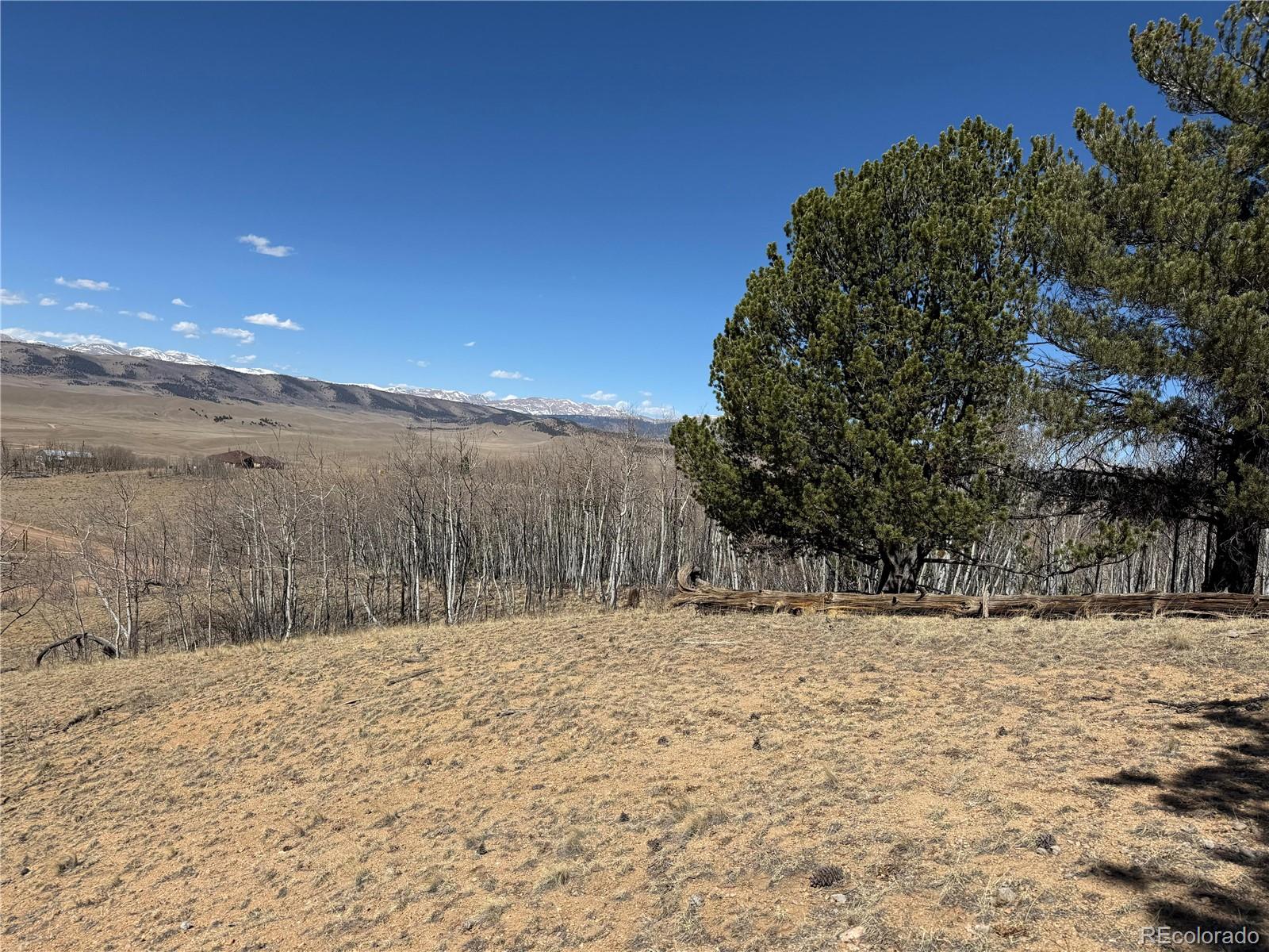 615 Caracara Lane Jefferson CO 80456