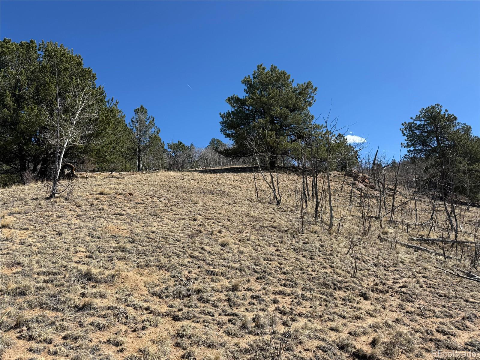 615 Caracara Lane Jefferson CO 80456