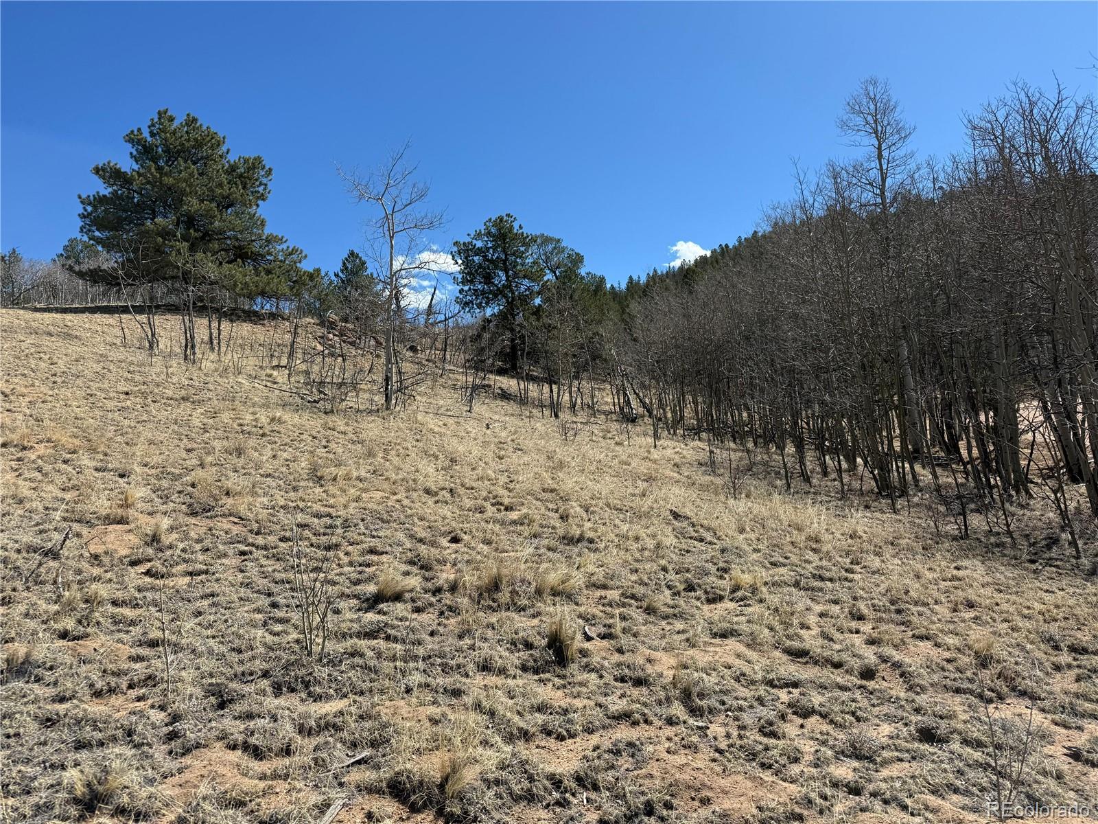 615 Caracara Lane Jefferson CO 80456