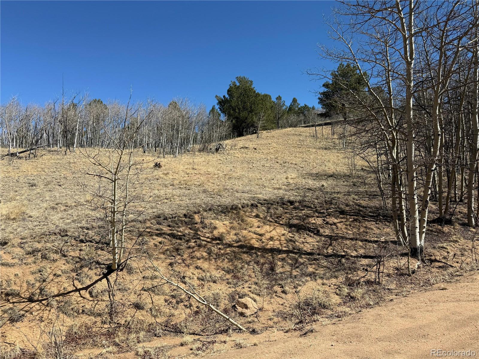 615 Caracara Lane Jefferson CO 80456