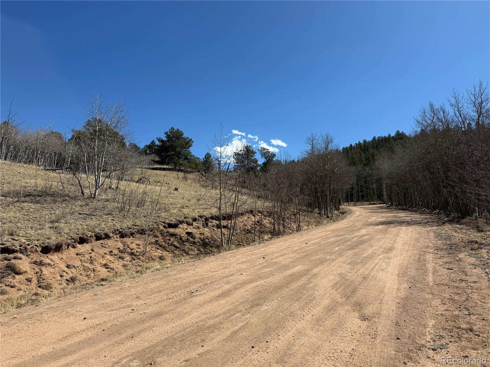 615 Caracara Lane Jefferson CO 80456