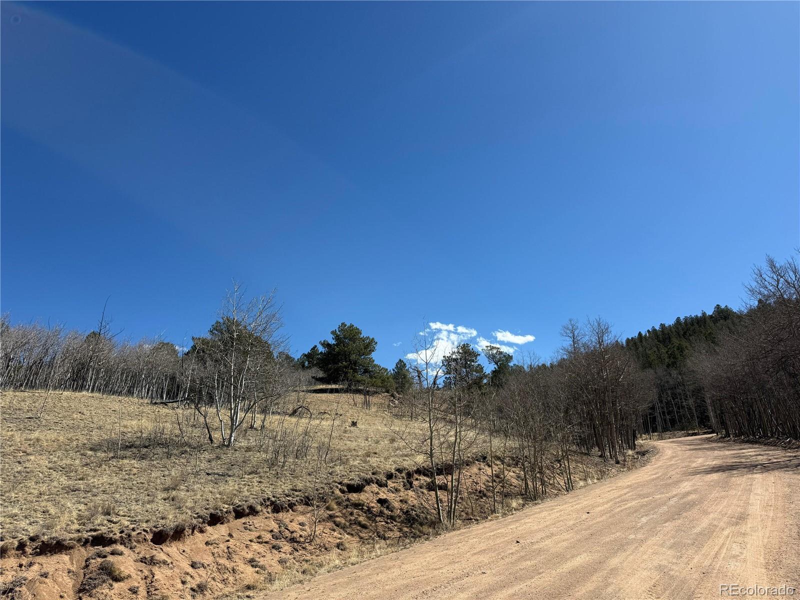 615 Caracara Lane Jefferson CO 80456