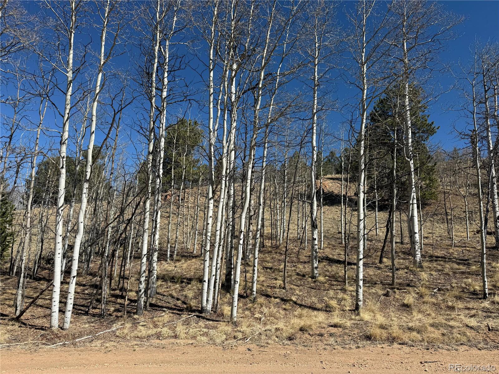 615 Caracara Lane Jefferson CO 80456