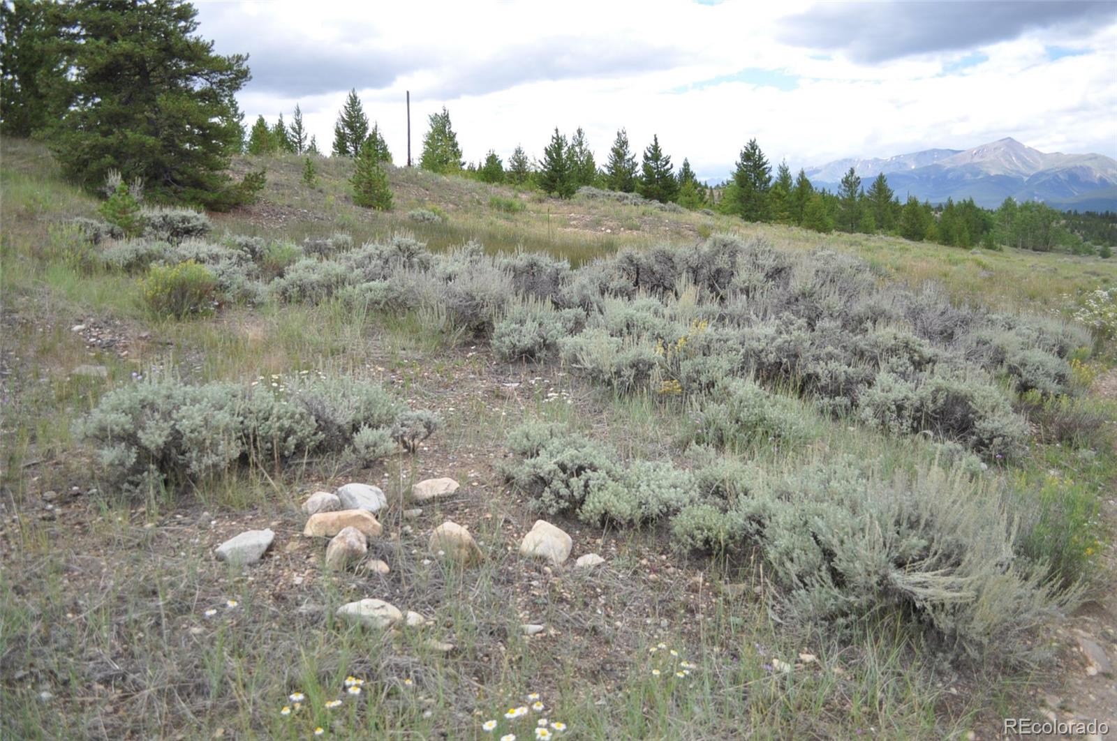 5697 Highway 24 Leadville CO 80461