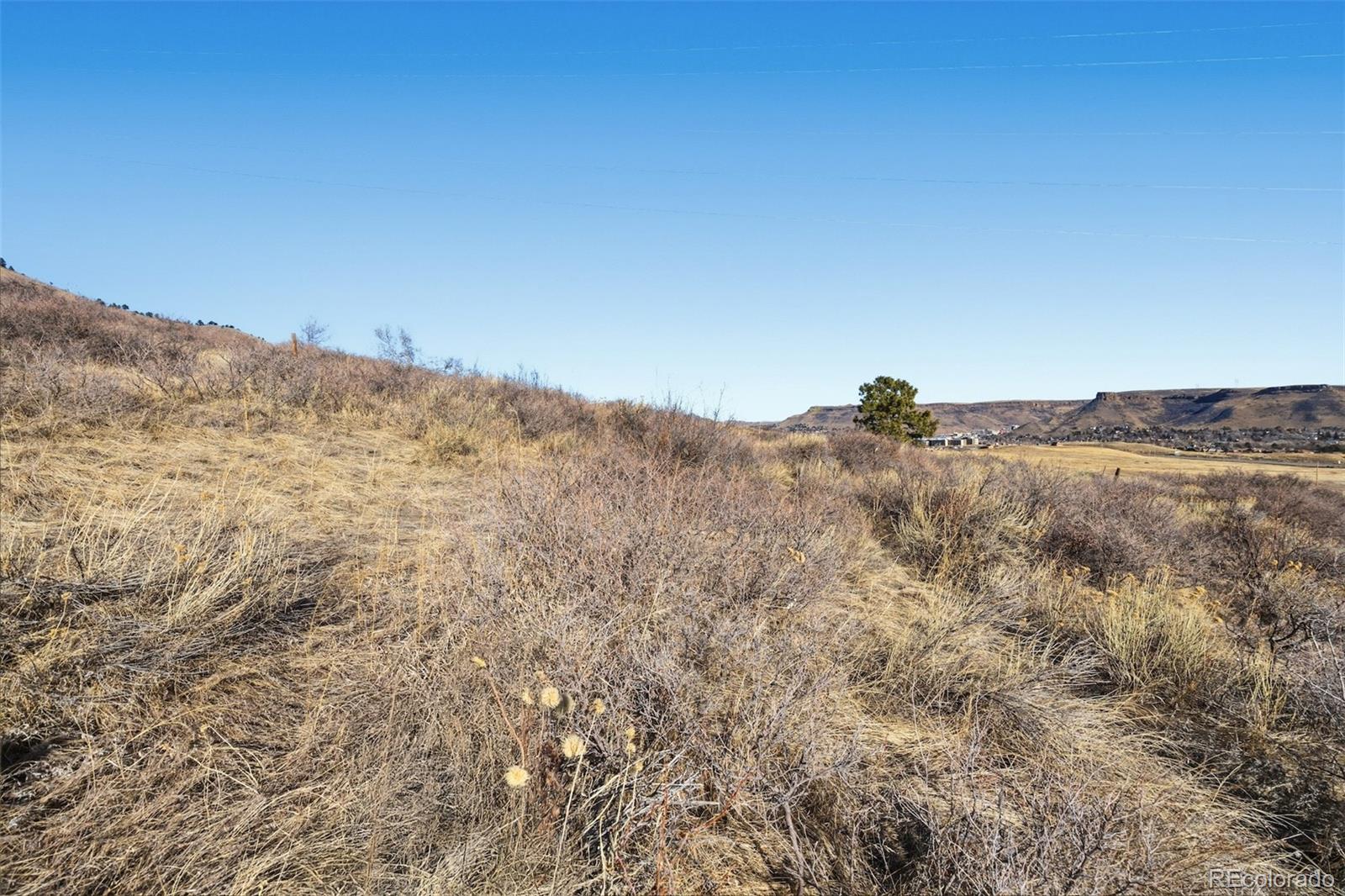 858 Shelton Road Golden CO 80401