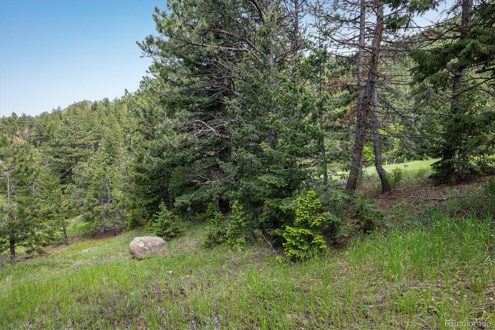 1546 Chute Road Golden CO 80403