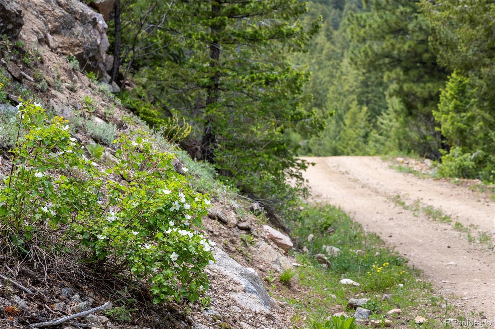 1546 Chute Road Golden CO 80403