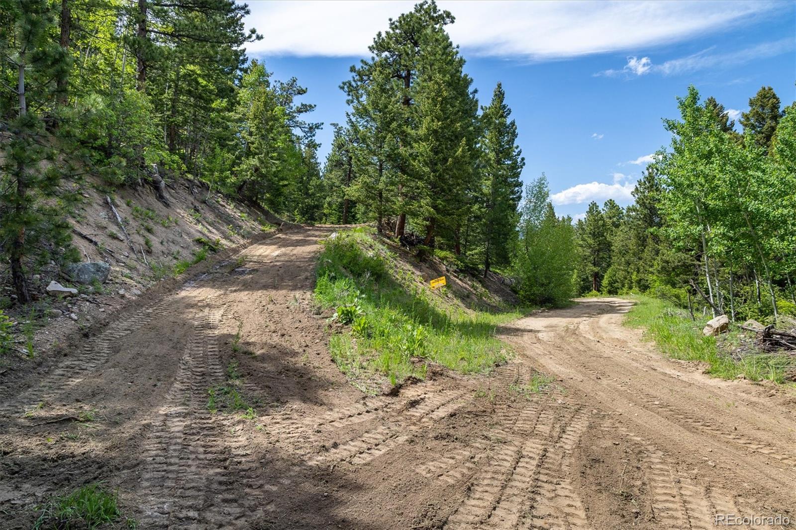 1546 Chute Road Golden CO 80403