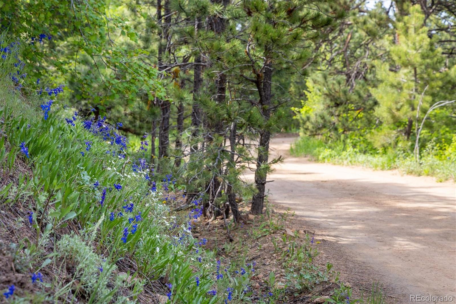 1546 Chute Road Golden CO 80403
