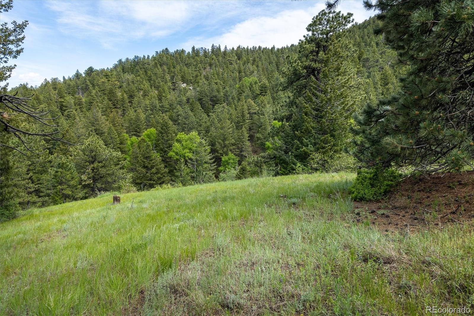 1546 Chute Road Golden CO 80403