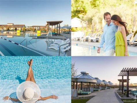 1956 Blossom Grove Drive Windsor CO 80550