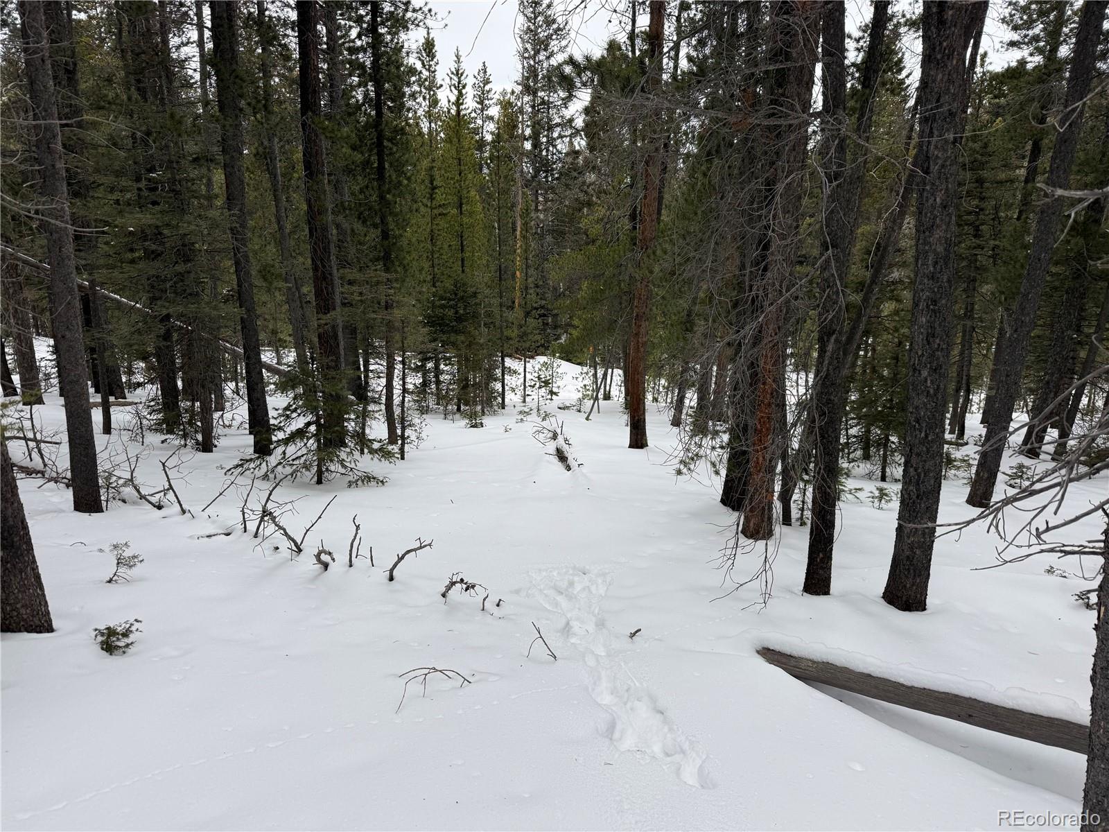 Lot 2806 Moir Drive Fort Garland CO 81133