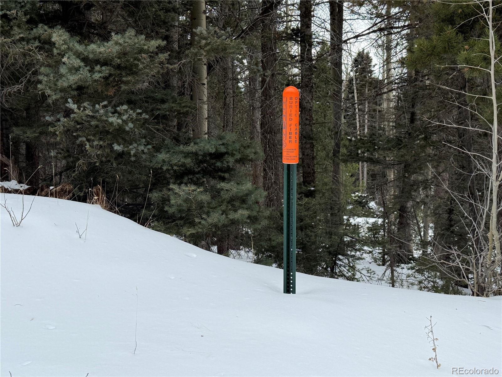 Lot 2806 Moir Drive Fort Garland CO 81133
