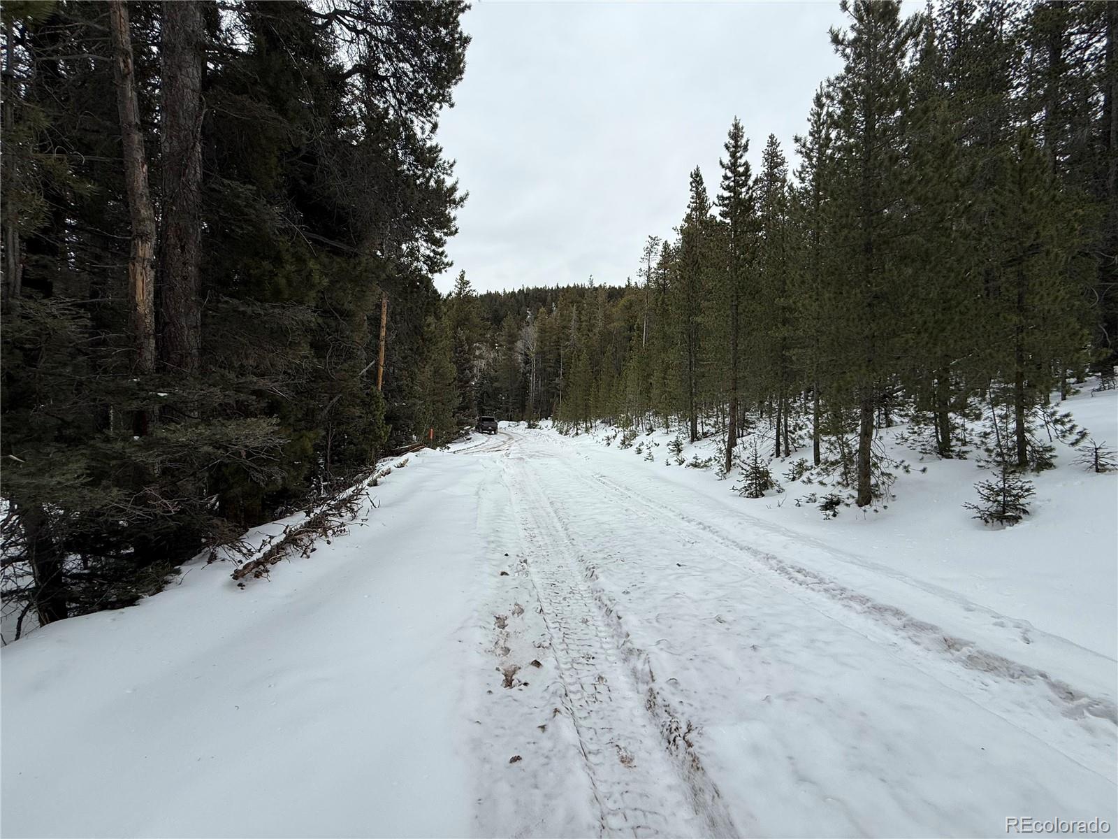 Lot 2806 Moir Drive Fort Garland CO 81133