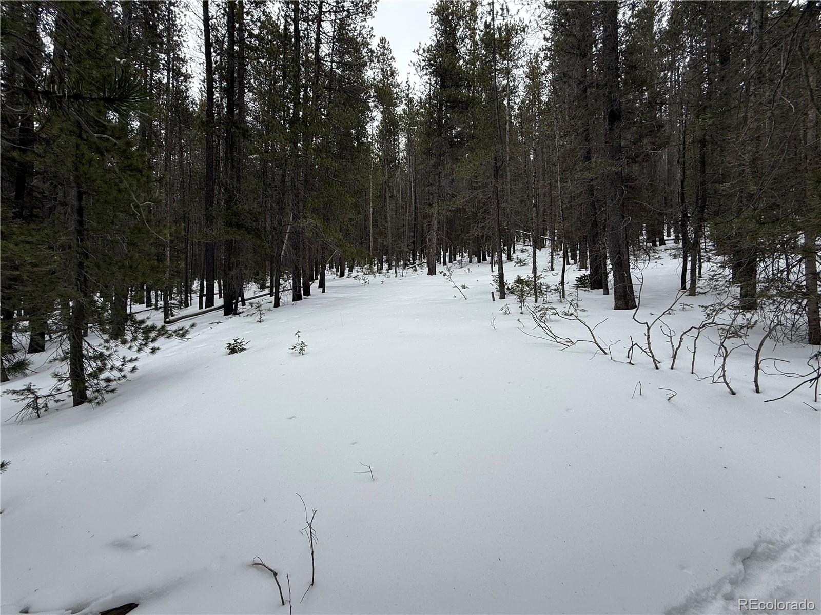 Lot 2806 Moir Drive Fort Garland CO 81133