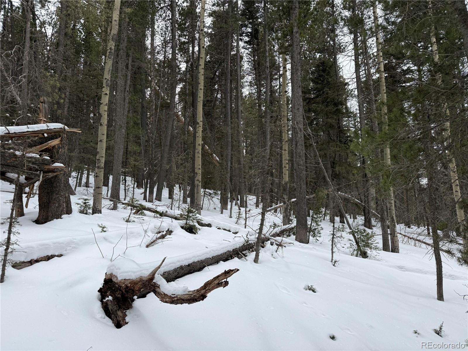 Lot 2806 Moir Drive Fort Garland CO 81133