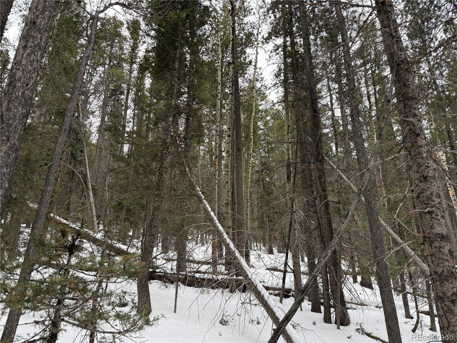 Lot 2806 Moir Drive Fort Garland CO 81133