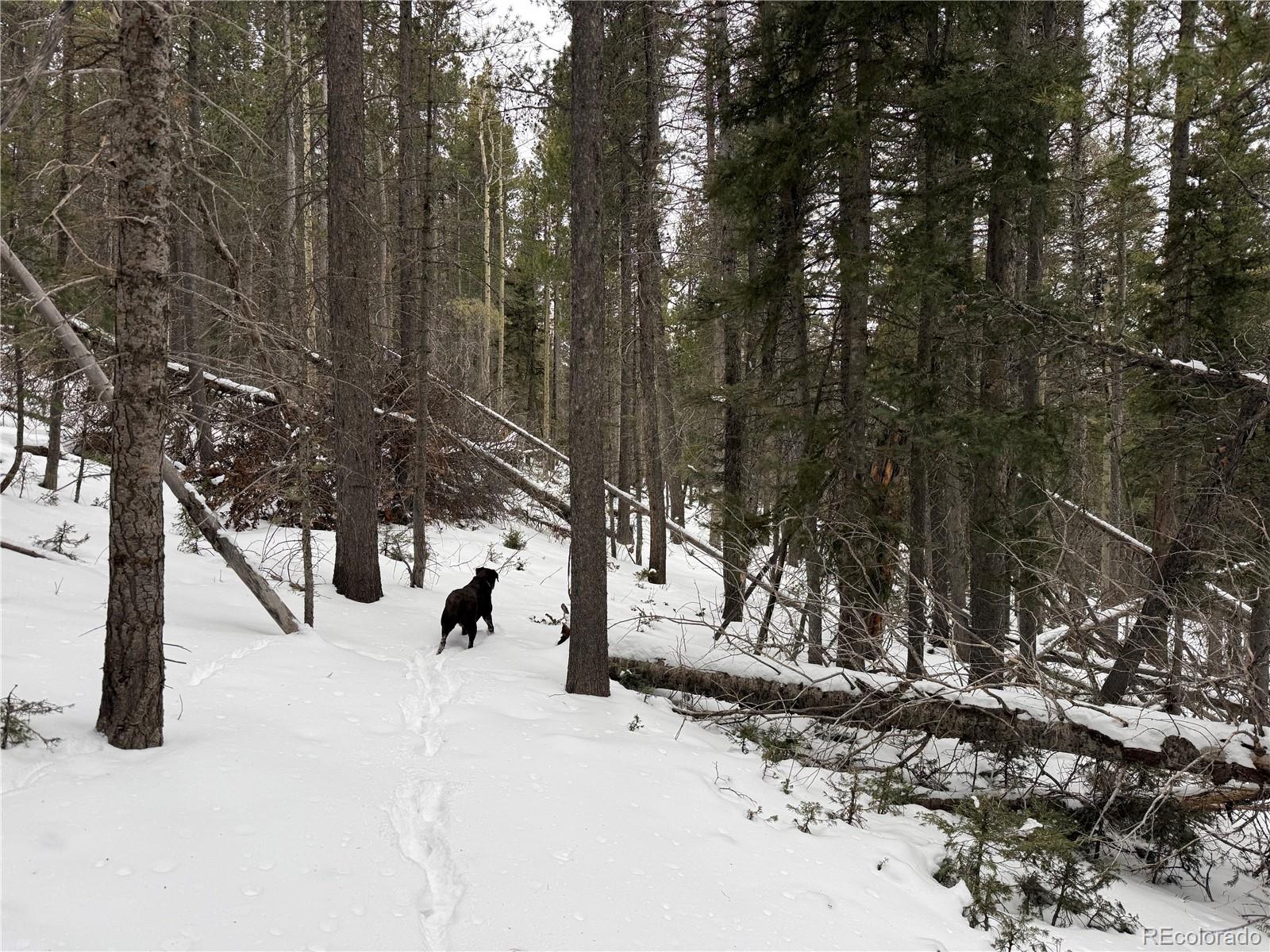 Lot 2806 Moir Drive Fort Garland CO 81133