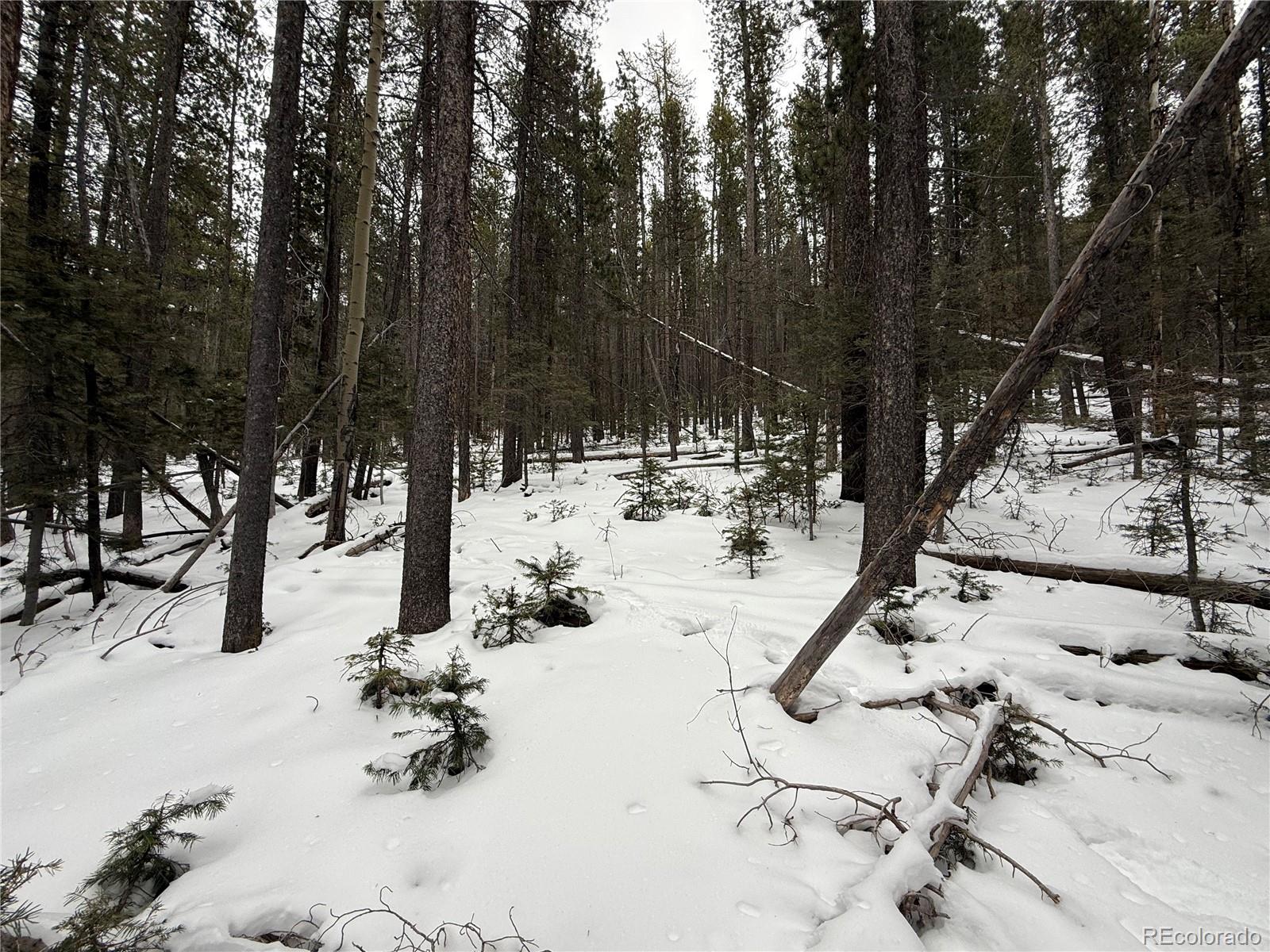 Lot 2806 Moir Drive Fort Garland CO 81133