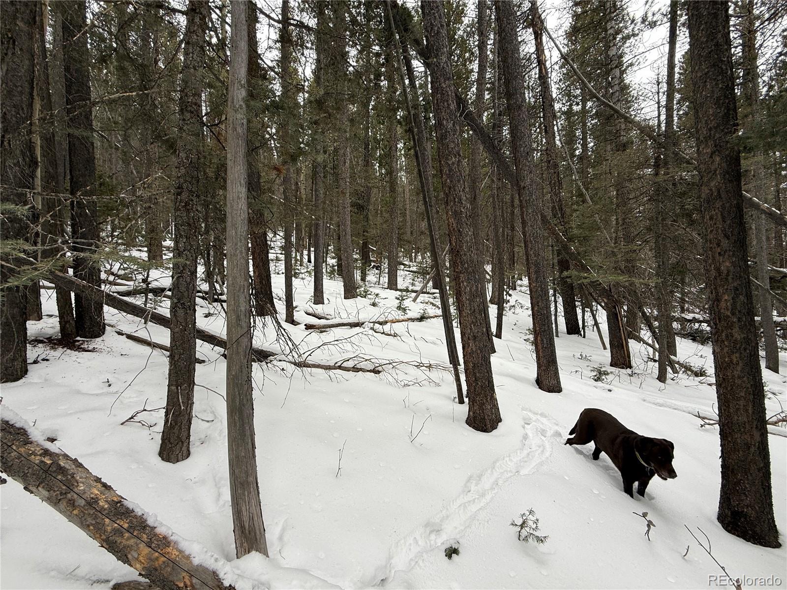 Lot 2806 Moir Drive Fort Garland CO 81133