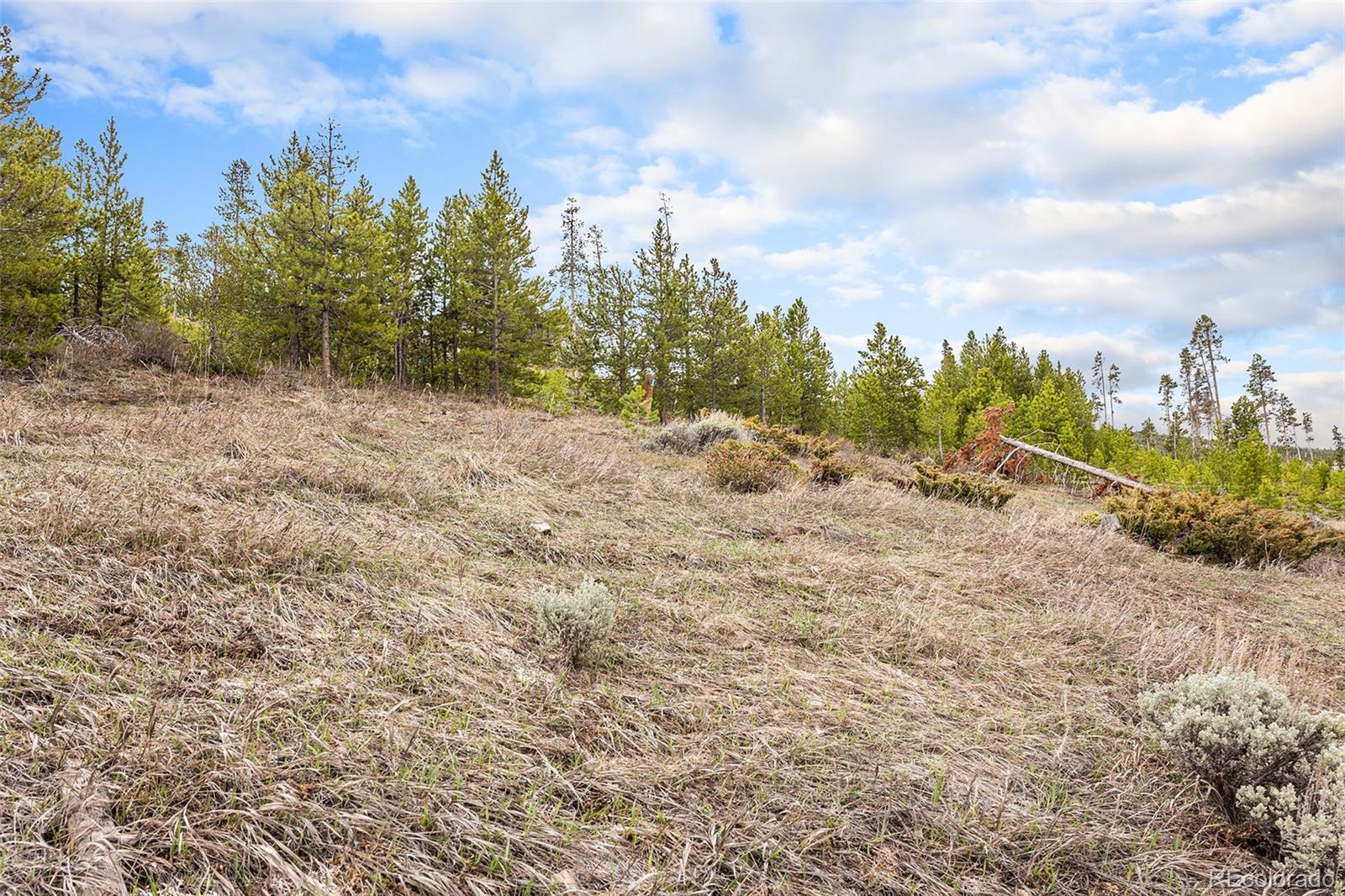 760 Shoshoni Lane Granby CO 80446