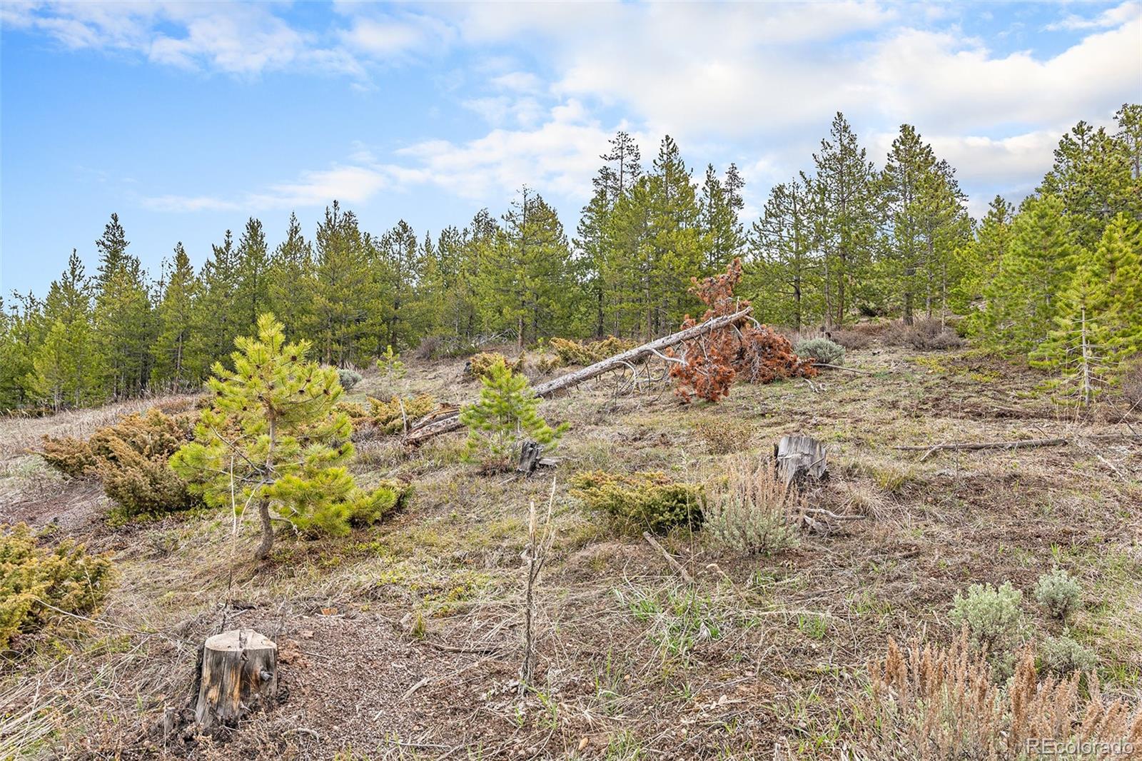 760 Shoshoni Lane Granby CO 80446