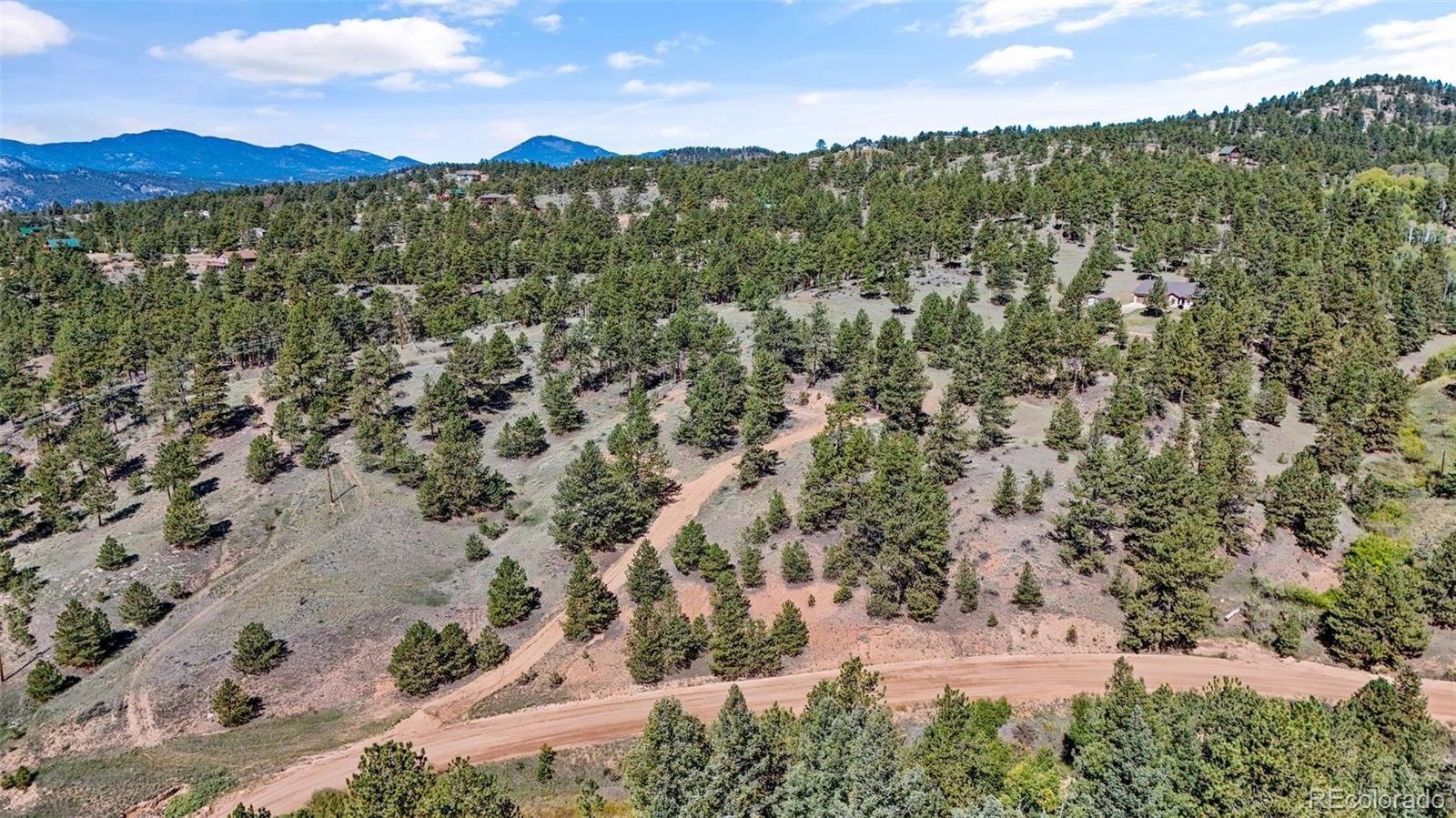 163 Valley View Drive Florissant CO 80816